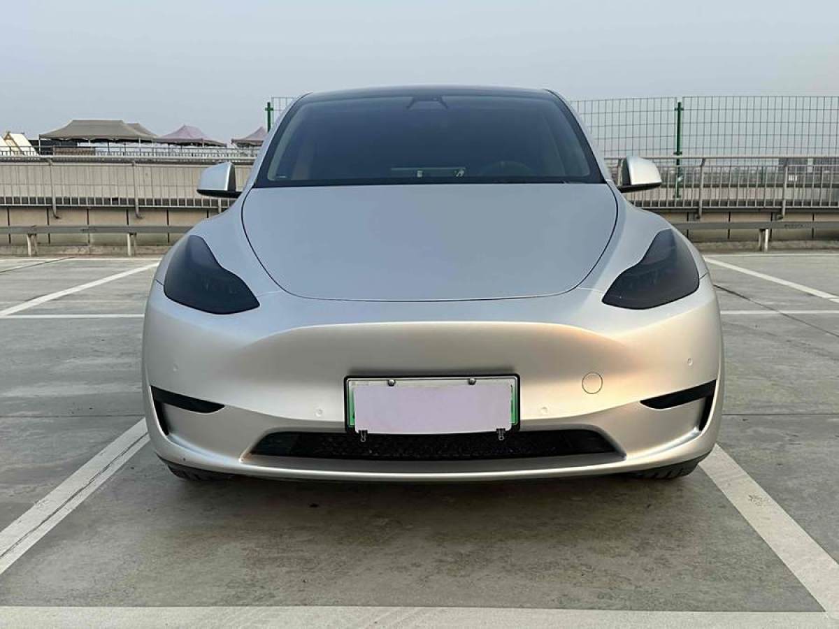 特斯拉 Model 3  2022款 后輪驅(qū)動(dòng)版圖片