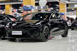 Model 3 特斯拉 改款 標(biāo)準(zhǔn)續(xù)航后驅(qū)升級(jí)版