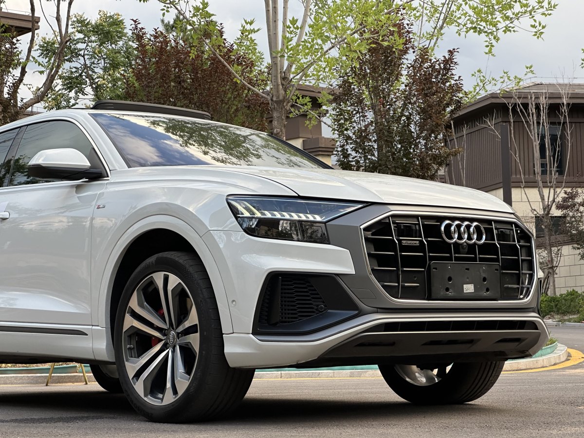 奧迪 奧迪Q8  2019款 55 TFSI 至尊限量版圖片