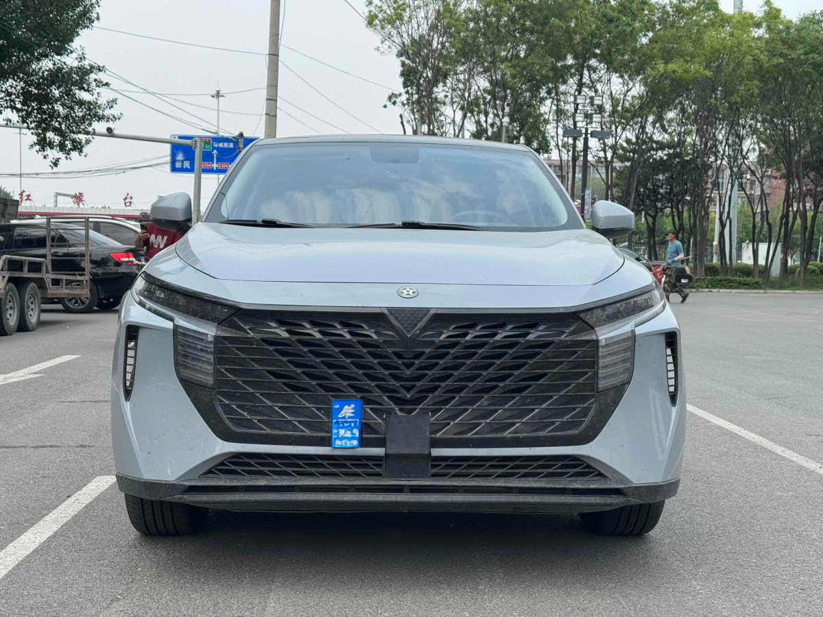 啟辰 啟辰大V  2023款 260T 愛(ài)豆版 Pro圖片