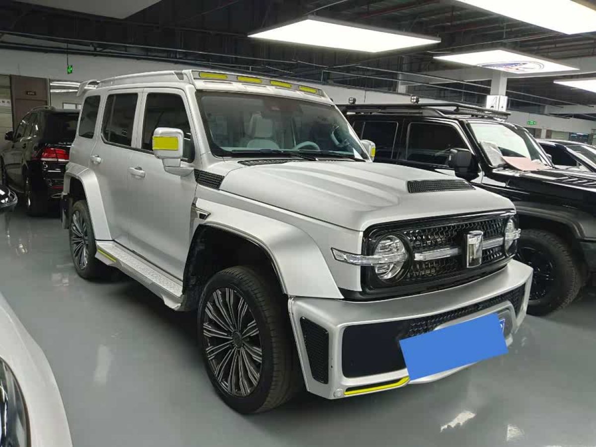 坦克 坦克300共創(chuàng)  2021款 2.0T 賽博坦克圖片