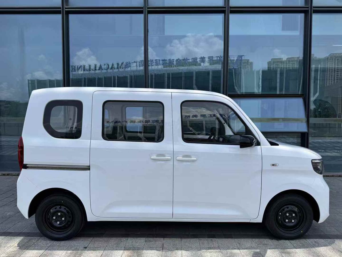 五菱 菱勢(shì)黃金小卡  2025款 倉柵 頂配版圖片