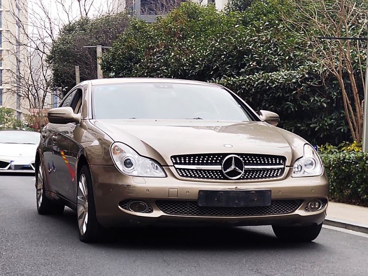 奔馳 奔馳CLS級  2009款 CLS 300圖片