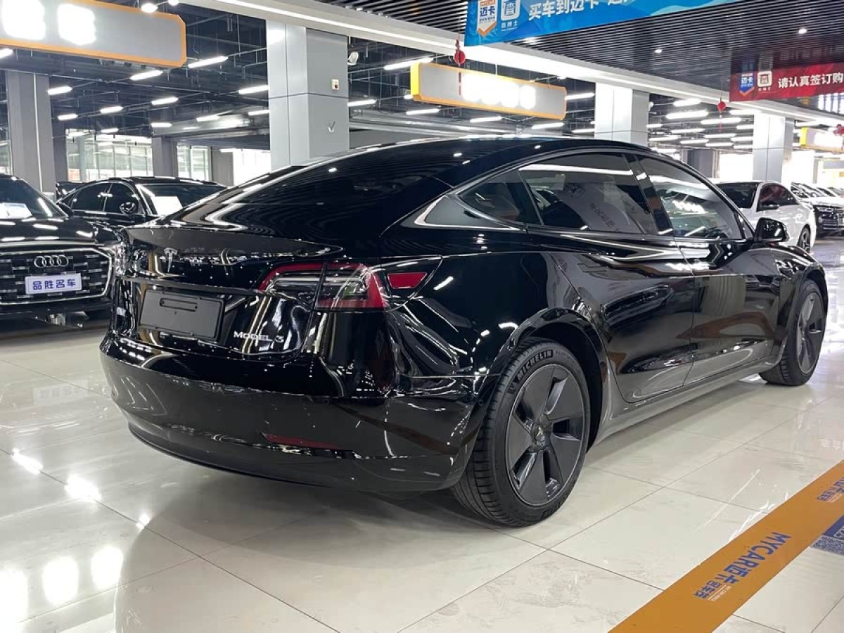 特斯拉 Model 3  2021款 標(biāo)準(zhǔn)續(xù)航后驅(qū)升級(jí)版 3D6圖片
