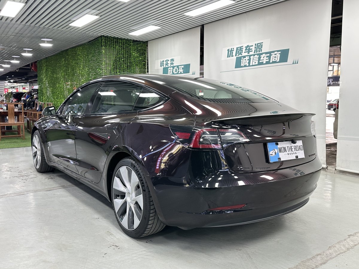 特斯拉 Model 3  2019款 Performance高性能全輪驅(qū)動版圖片