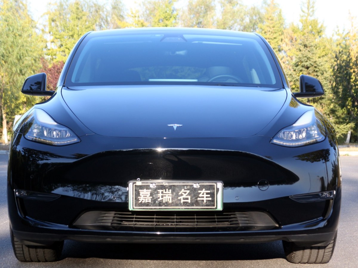 特斯拉 Model Y 長續(xù)航全輪驅(qū)動版圖片