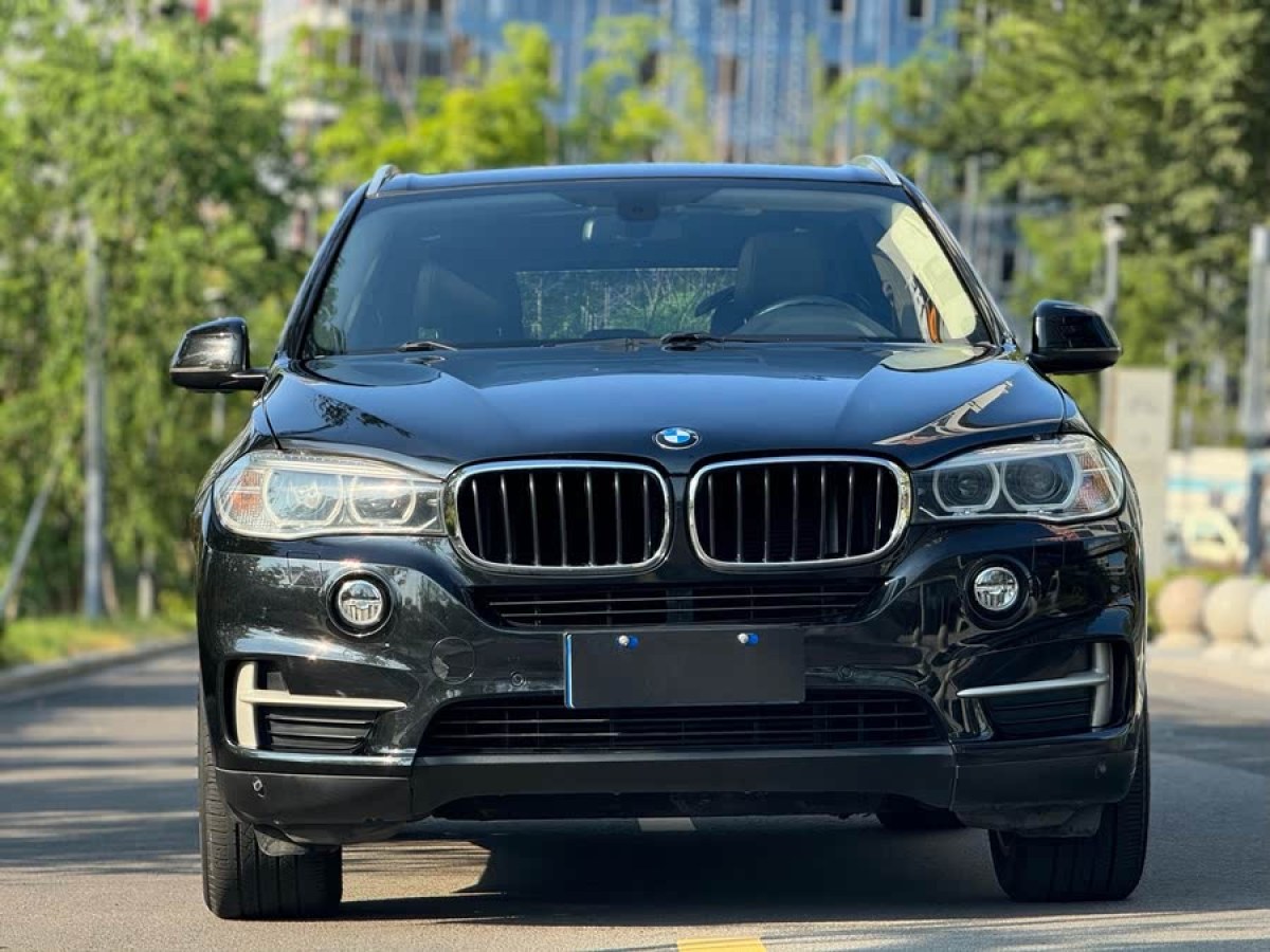 寶馬 寶馬X5  2014款 xDrive35i 典雅型圖片