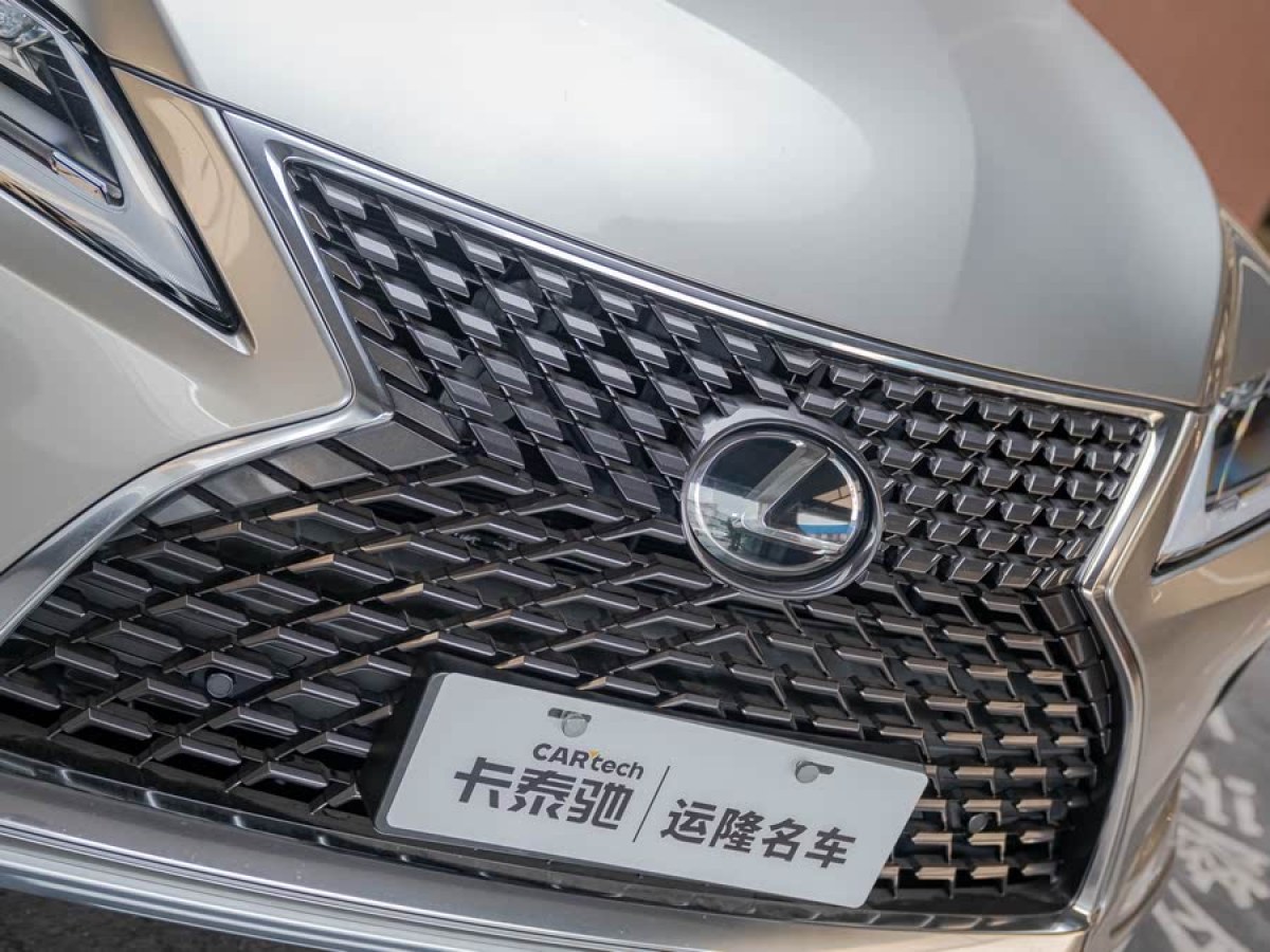 雷克薩斯 RX  2020款 300 四驅(qū)典雅版 國VI圖片