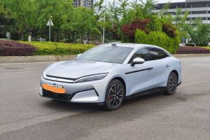 漢 比亞迪 EV 智駕版 701KM激光雷達(dá)尊享型