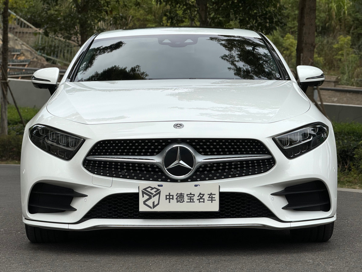 2019年6月奔馳 奔馳CLS級(jí)  2023款 改款 CLS 300 豪華型