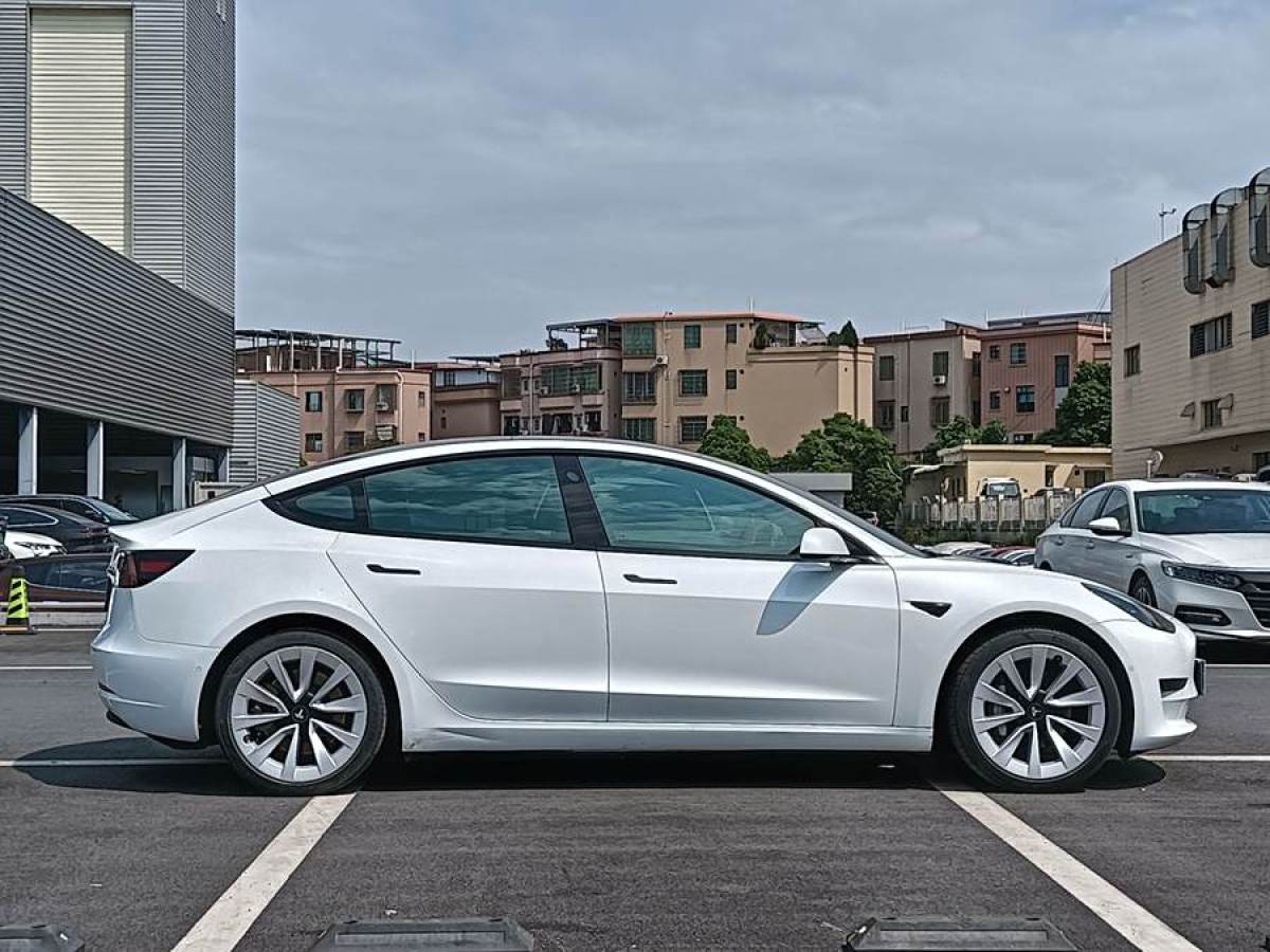 特斯拉 Model 3  2021款 改款 標準續(xù)航后驅(qū)升級版圖片