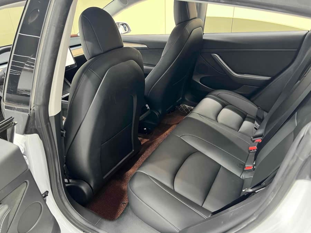 特斯拉 Model 3  2021款 改款 標準續(xù)航后驅(qū)升級版圖片