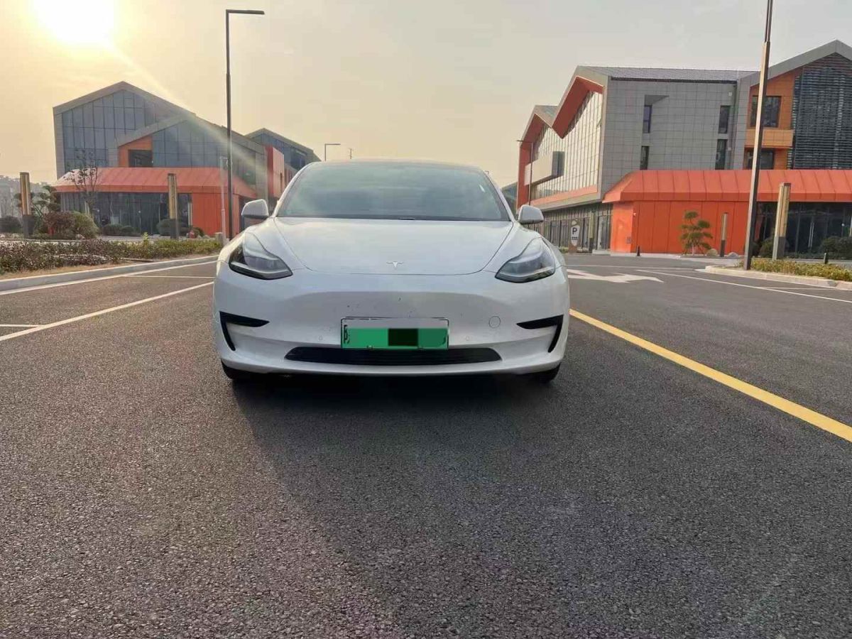 2020年1月特斯拉 Model X  2020款 Performance 高性能版