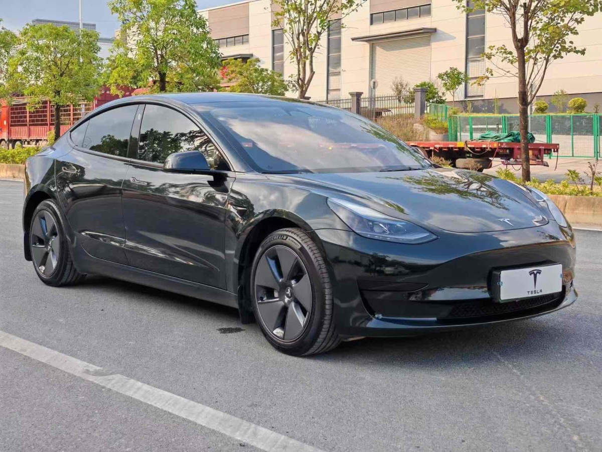 特斯拉 Model 3  2019款 標(biāo)準(zhǔn)續(xù)航后驅(qū)升級版圖片