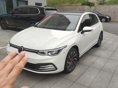 2024年8月 大众 高尔夫 改款 280TSI DSG Pro图片