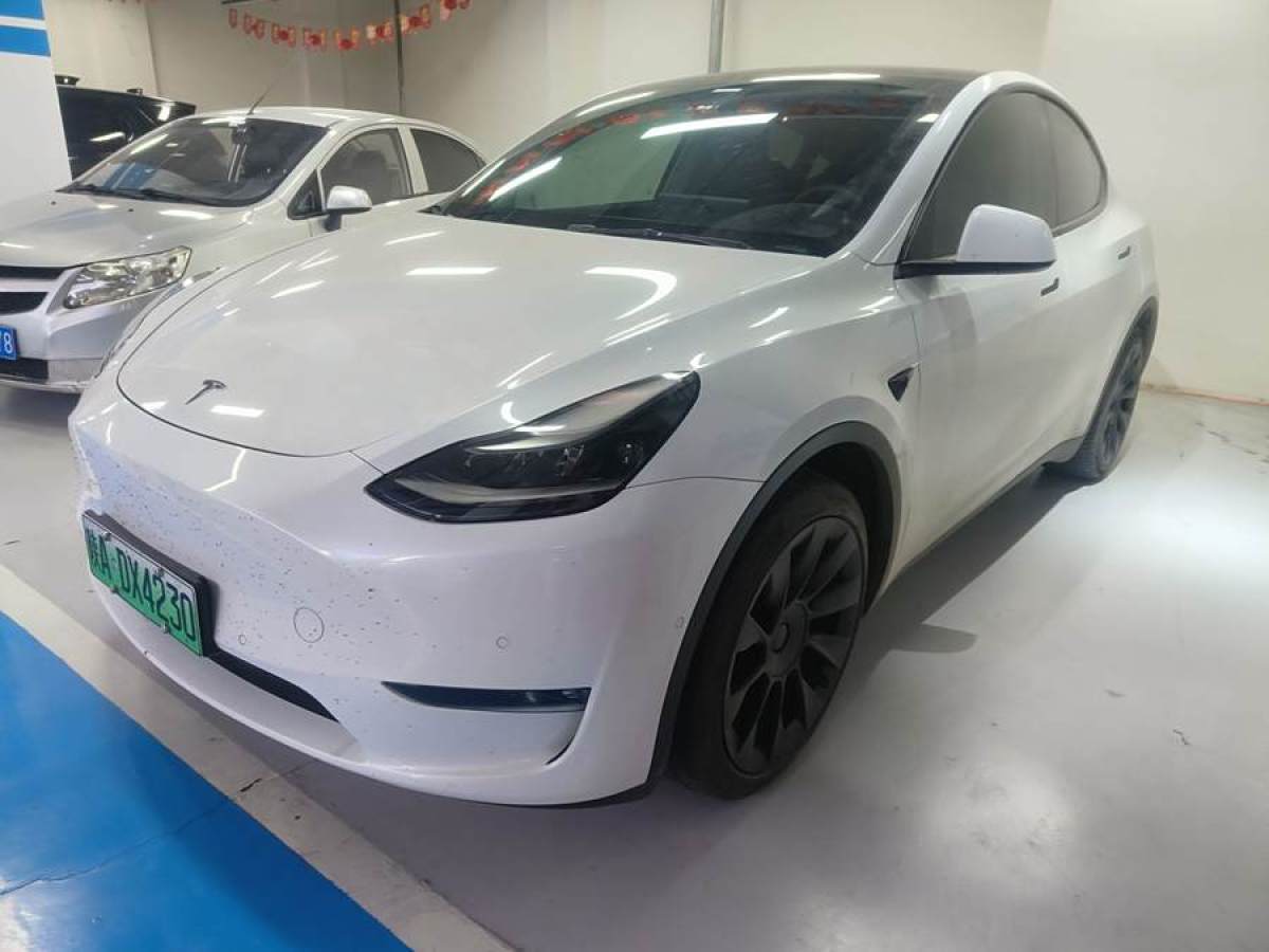 2021年3月特斯拉 Model Y  2021款 改款 長(zhǎng)續(xù)航全輪驅(qū)動(dòng)版