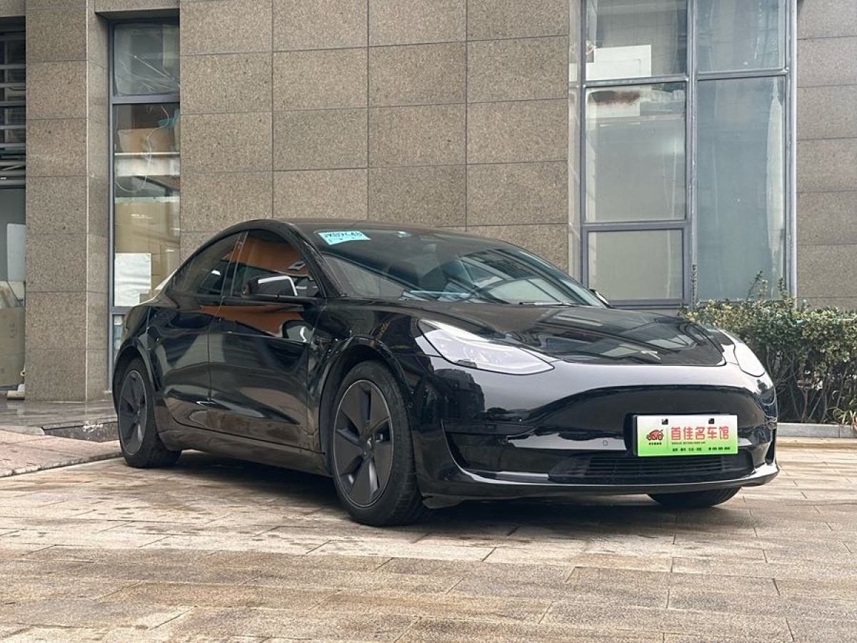 特斯拉 Model 3  2021款 標(biāo)準(zhǔn)續(xù)航后驅(qū)升級(jí)版 3D6圖片