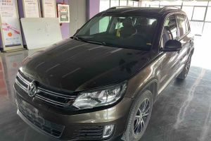 途觀 大眾 1.8TSI 自動兩驅(qū)30周年紀(jì)念版