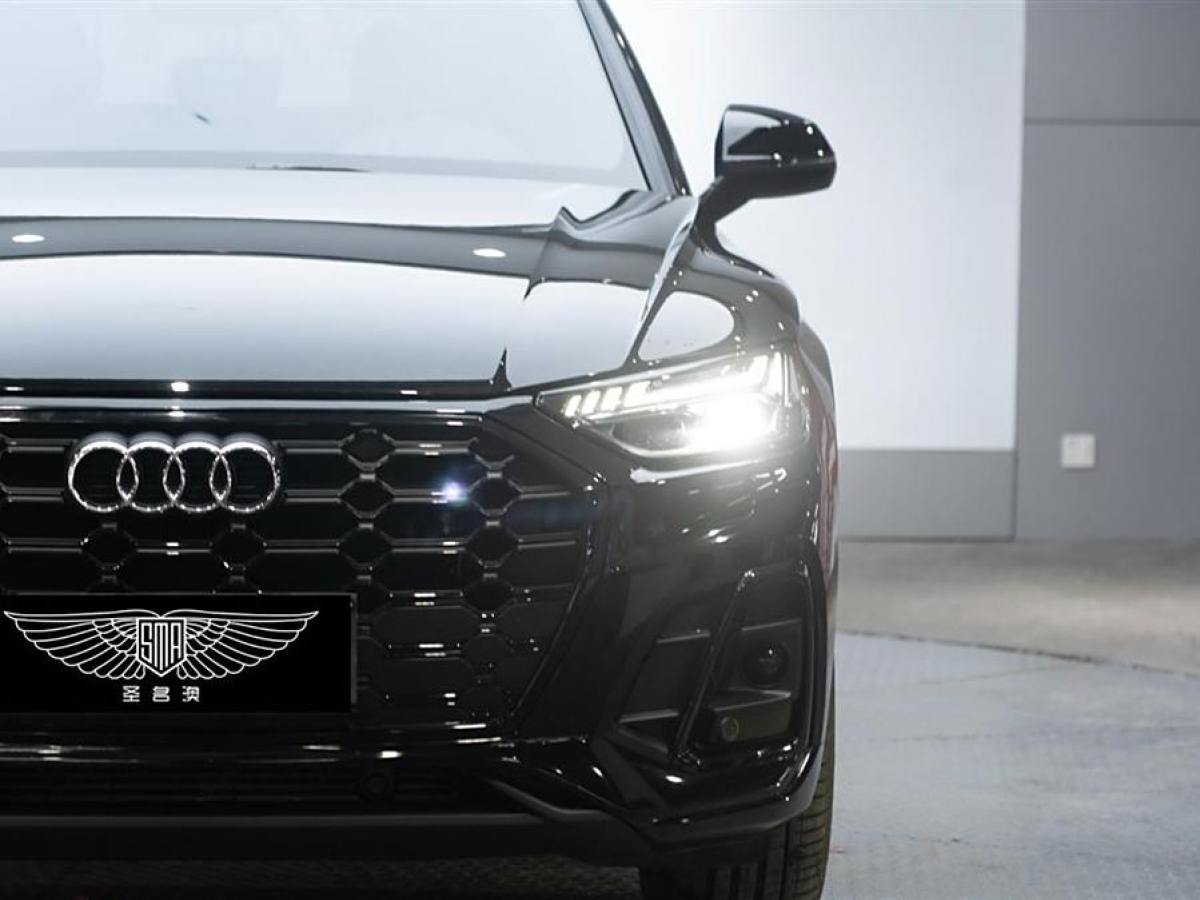 奧迪 奧迪SQ5  2014款 SQ5 3.0 TFSI quattro圖片