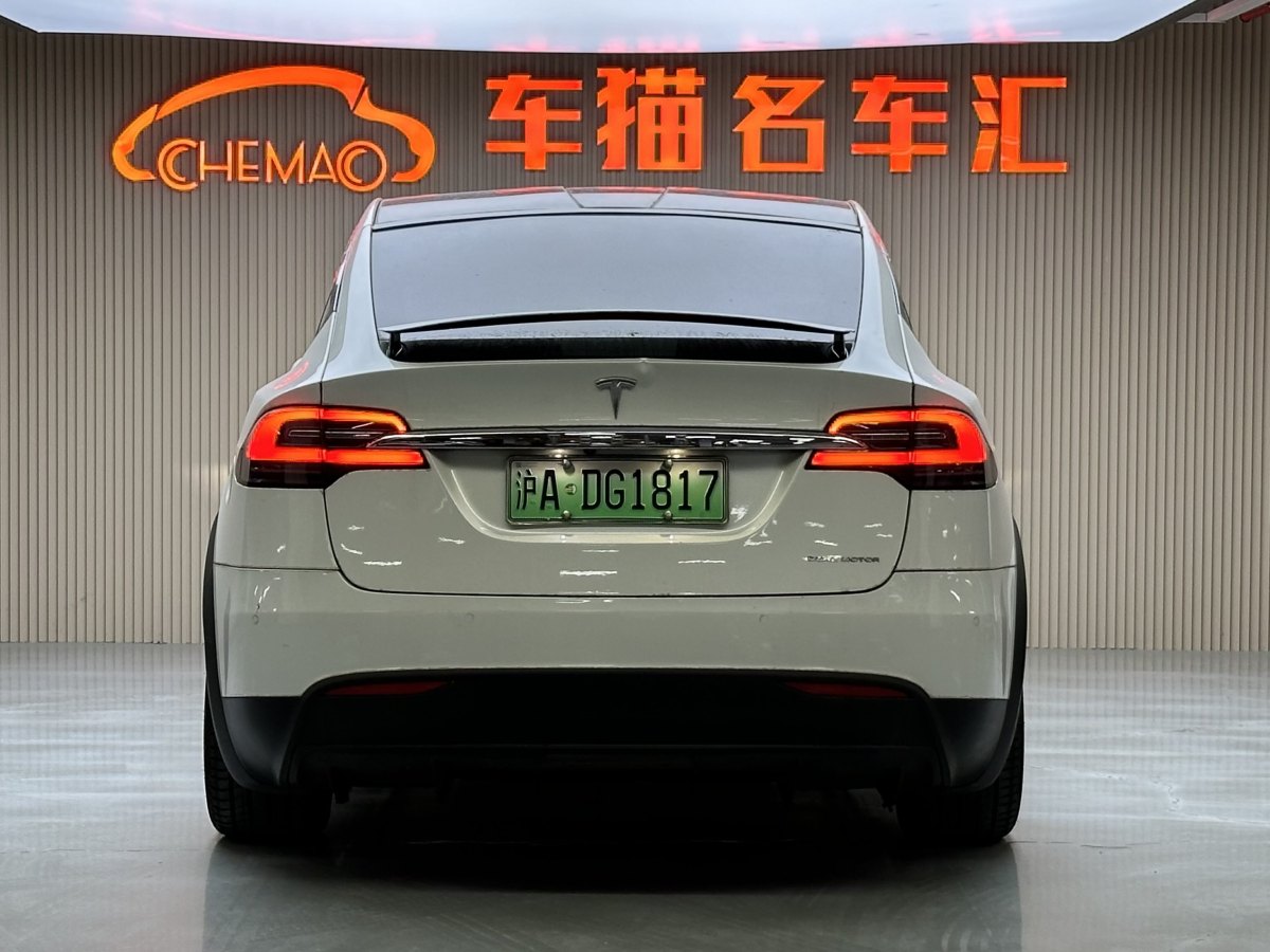 特斯拉 Model X  2019款 長(zhǎng)續(xù)航版圖片