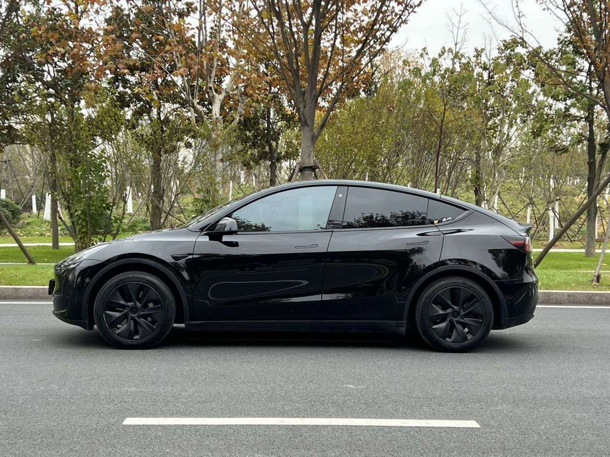 特斯拉 Model Y  2022款 后驅(qū)版圖片