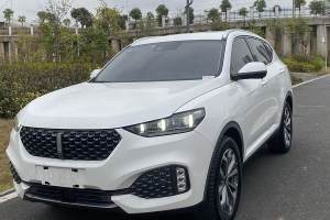 VV6 WEY 2.0T 两驱智享+