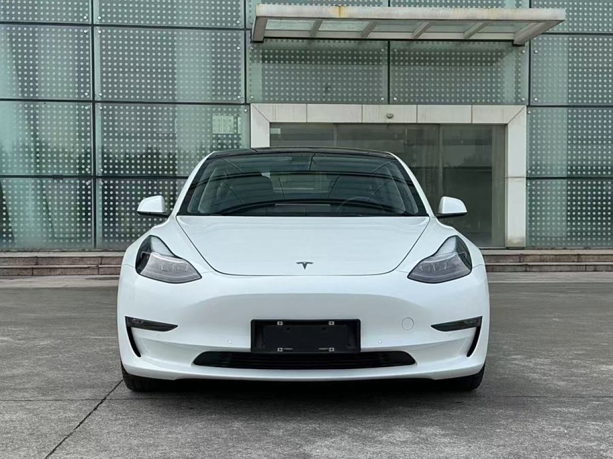 特斯拉 Model 3  2021款 改款 Performance高性能全輪驅(qū)動(dòng)版圖片