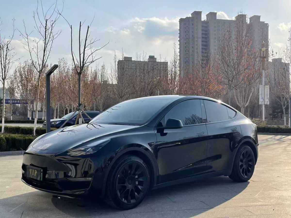 特斯拉 Model Y  2021款 標(biāo)準(zhǔn)續(xù)航后驅(qū)版圖片