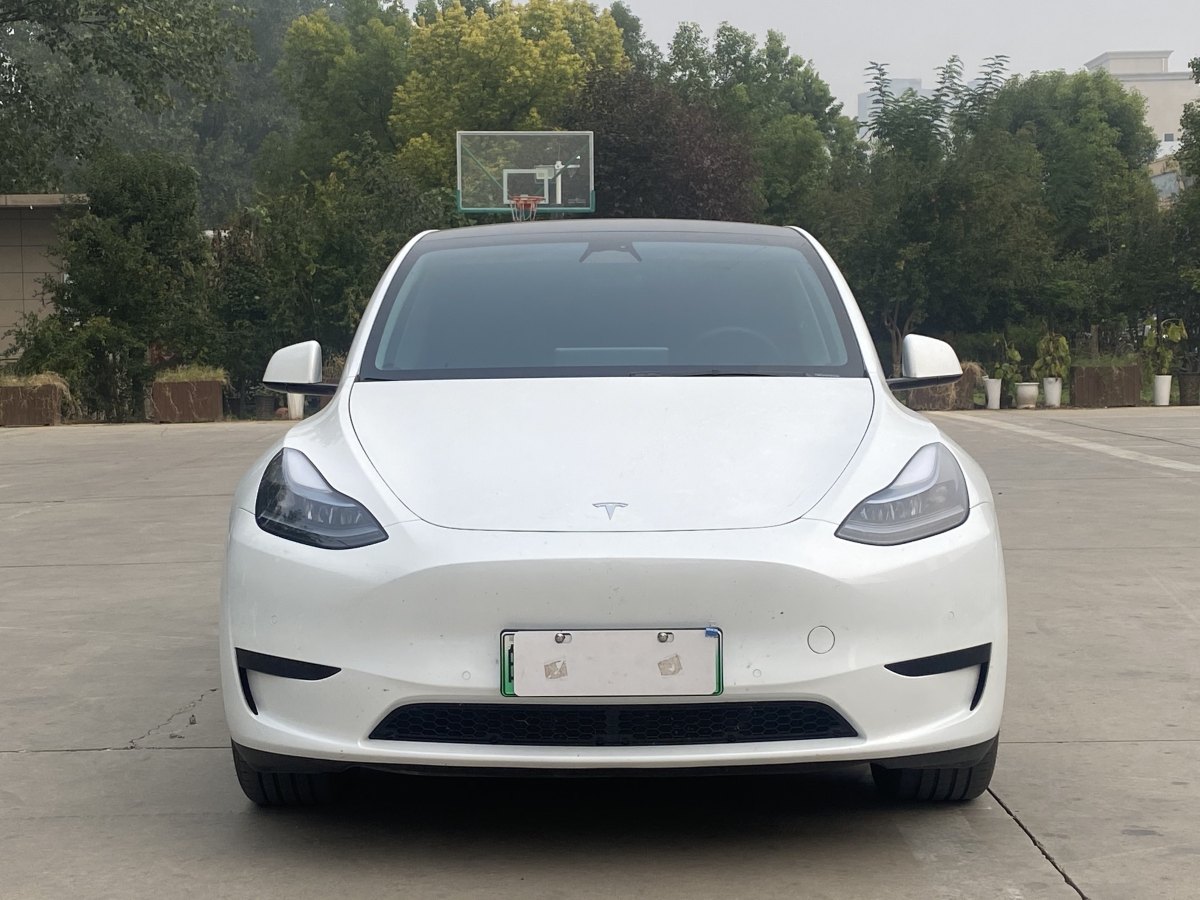 特斯拉 Model Y  2023款 煥新版 后輪驅動圖片