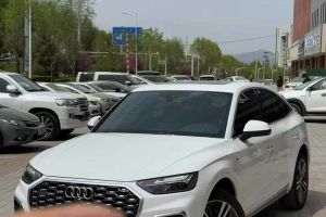 Sport 奧迪RS Q8 奧迪 RS Q8 4.0T