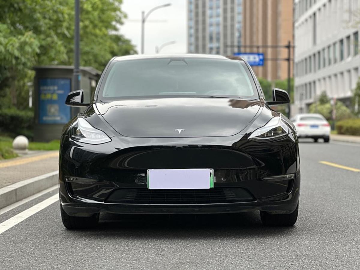 特斯拉 Model Y  2021款 改款 標準續(xù)航后驅(qū)升級版圖片