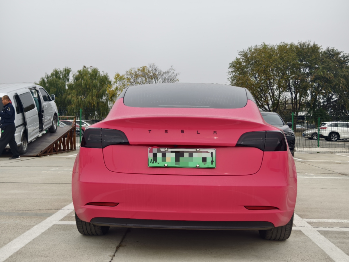 特斯拉 Model 3  2019款 標(biāo)準(zhǔn)續(xù)航后驅(qū)升級(jí)版圖片