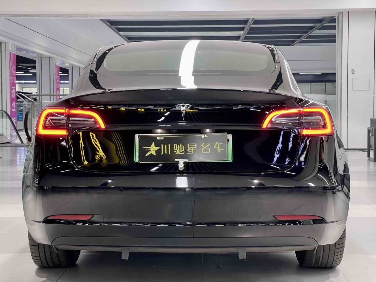 特斯拉 Model 3  2021款 標(biāo)準(zhǔn)續(xù)航后驅(qū)升級版 3D6圖片