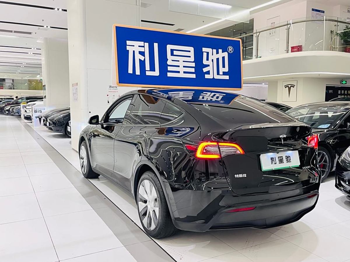 特斯拉 Model Y  2020款 改款 長(zhǎng)續(xù)航后輪驅(qū)動(dòng)版圖片