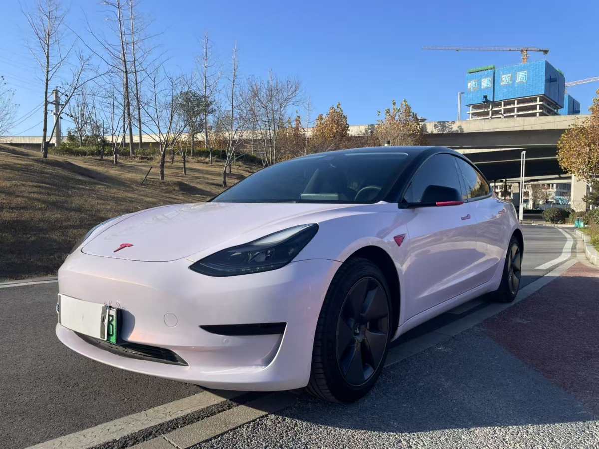 特斯拉 Model 3  2021款 標(biāo)準(zhǔn)續(xù)航后驅(qū)升級版 3D6圖片