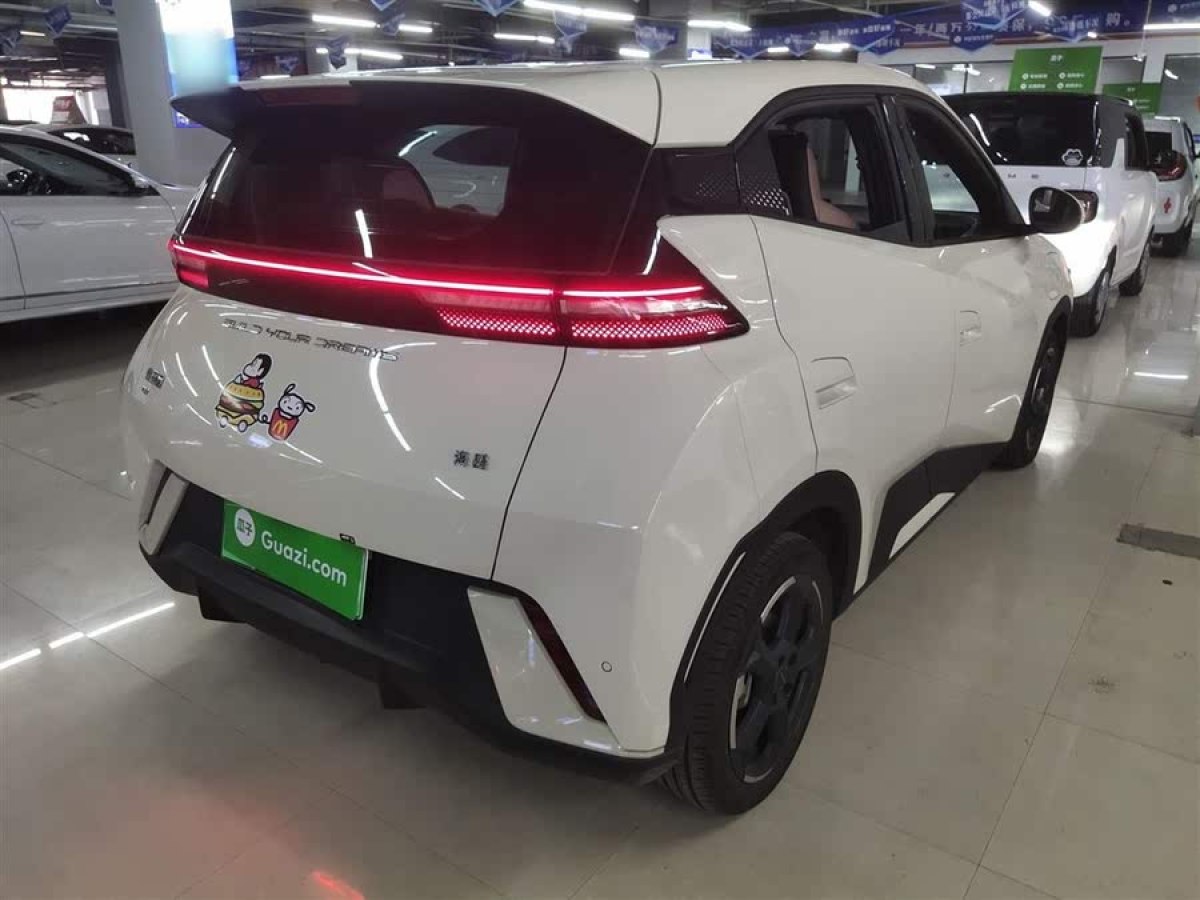 比亞迪 海鷗  2024款 榮耀版 305km 自由版圖片