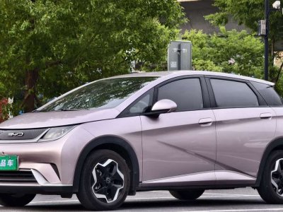 2023年5月 比亞迪 海豚 405km 時(shí)尚版圖片