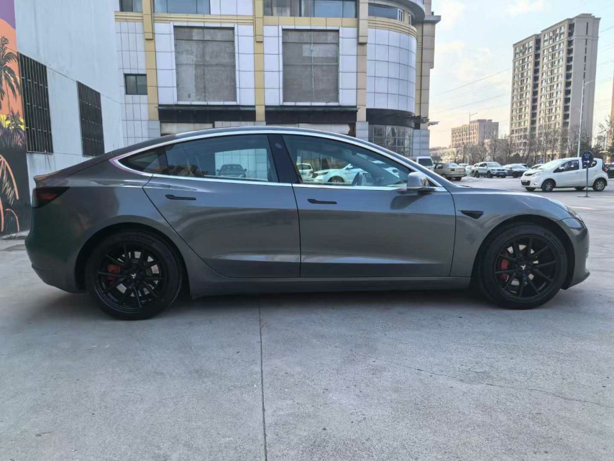 特斯拉 Model 3  2020款 標(biāo)準(zhǔn)續(xù)航后驅(qū)升級(jí)版圖片