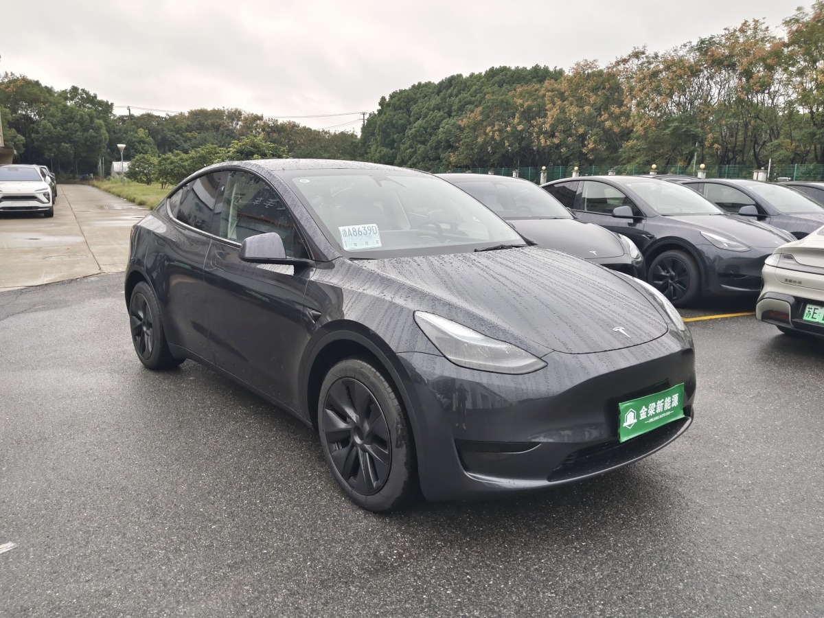 特斯拉 Model Y  2020款 改款 長續(xù)航后輪驅(qū)動版圖片