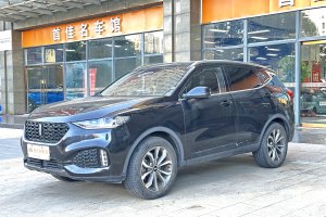 VV6 WEY 2.0T 两驱旗舰型