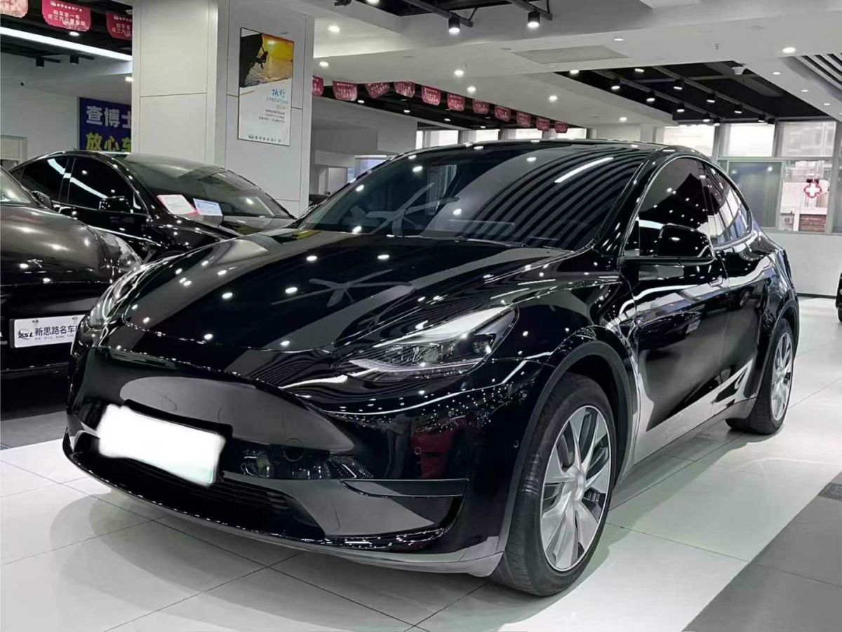 特斯拉 Model 3  2022款 Performance高性能全輪驅(qū)動(dòng)版圖片