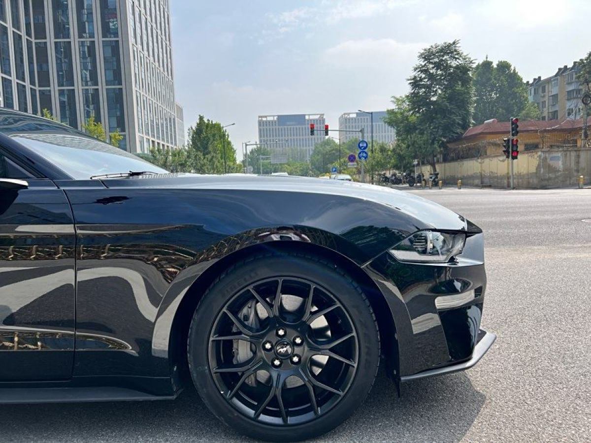 福特 Mustang  2021款 2.3L EcoBoost圖片