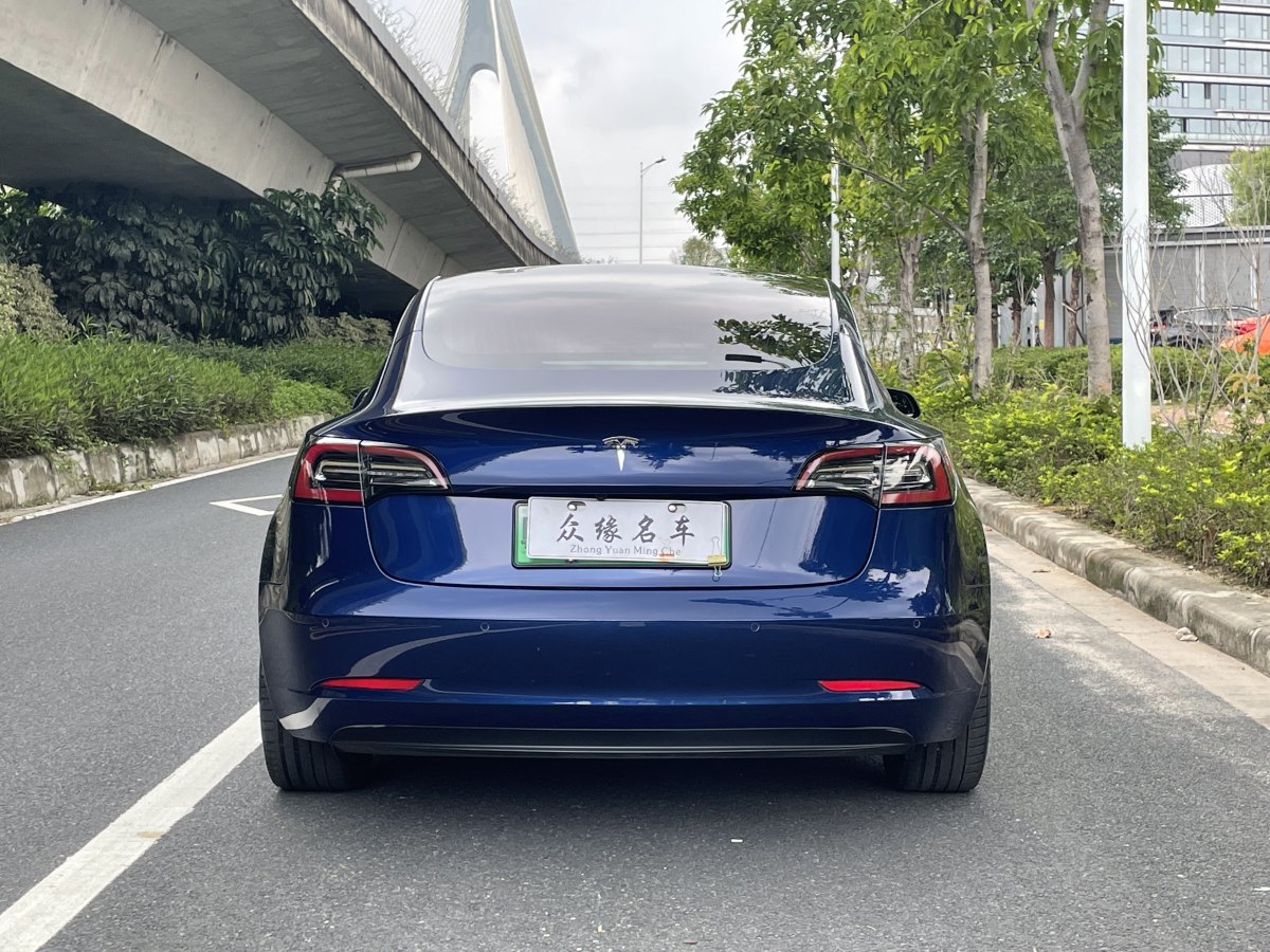2019年4月特斯拉 Model 3  2019款 長續(xù)航后驅(qū)版