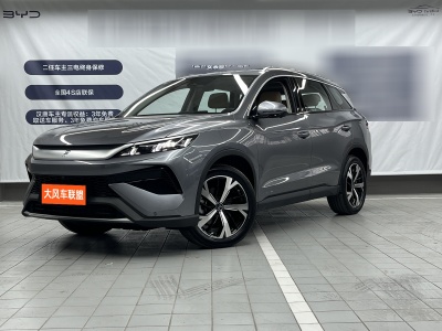 2024年10月 比亞迪 宋Pro新能源 DM-i 115KM卓越型圖片