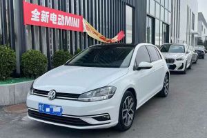 高尔夫 大众 2.0TSI GTI