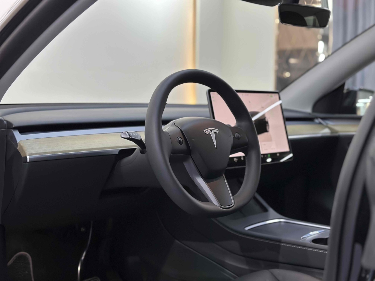 特斯拉 Model Y  2021款 改款 Performance高性能全輪驅(qū)動版圖片