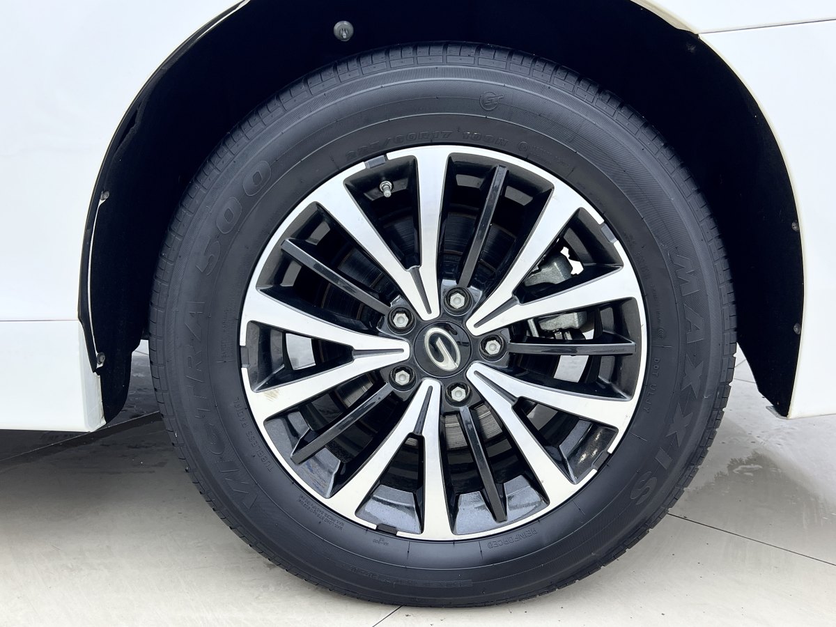 廣汽傳祺 M8  2024款 領(lǐng)秀系列 390T 尊享版圖片