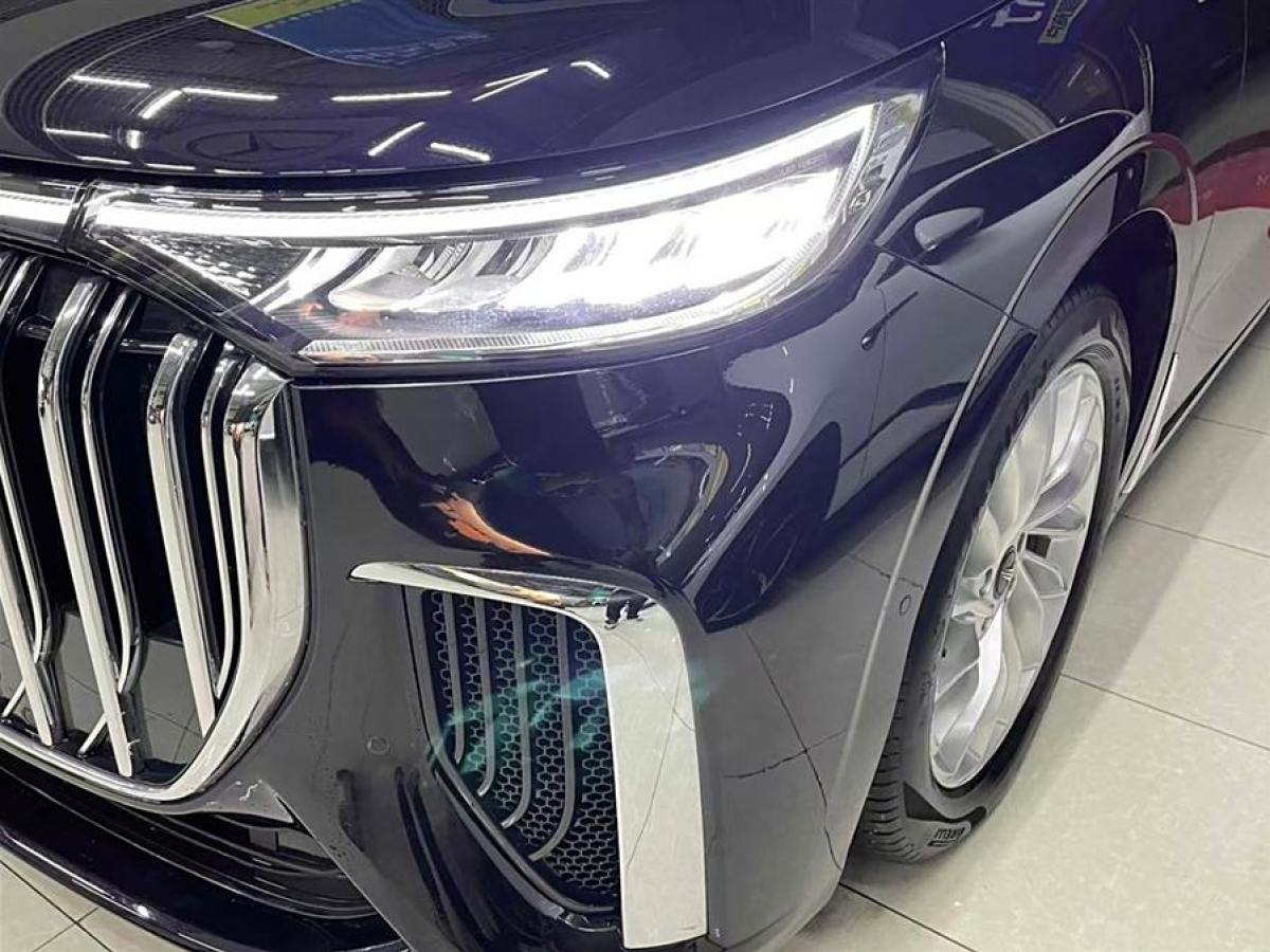 嵐圖 夢想家  2024款 PHEV 超長續(xù)航尊貴版圖片