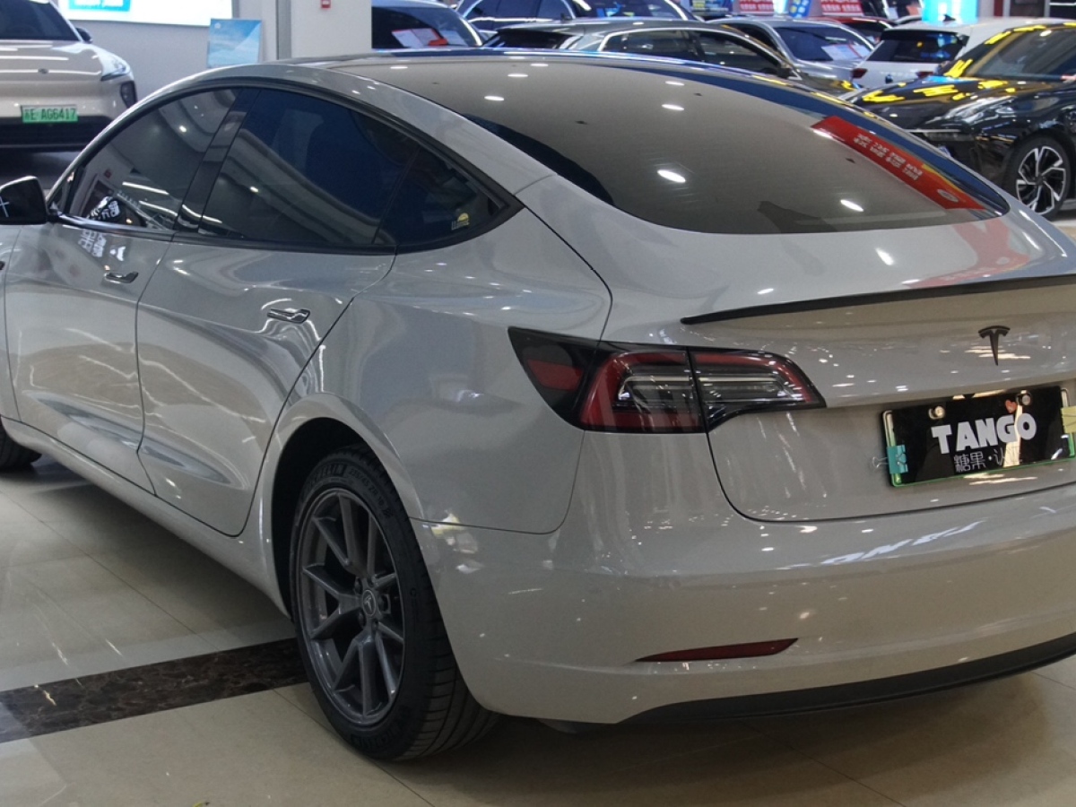 特斯拉 Model 3  2022款 后輪驅(qū)動版圖片