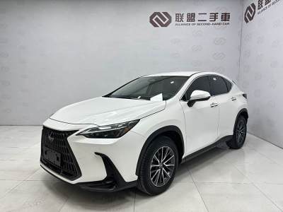 2023年1月 雷克薩斯 NX 260 前驅 創(chuàng)馳版圖片